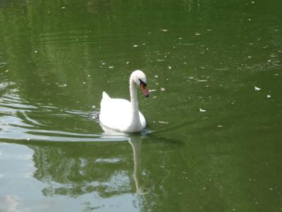 Прикрепленное изображение: IMG_1579.JPG